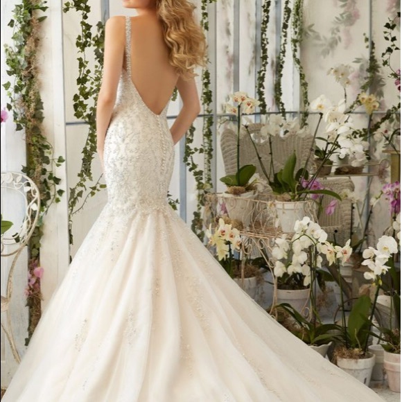 A never been alter light gold fit and flare dress - Picture 4 of 6